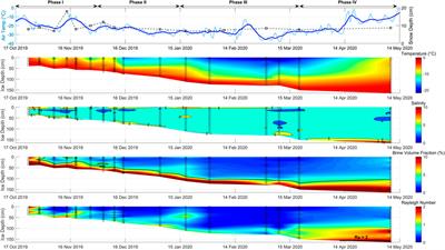 Deciphering the Properties of Different Arctic Ice Types During the Growth Phase of MOSAiC: Implications for Future Studies on Gas Pathways